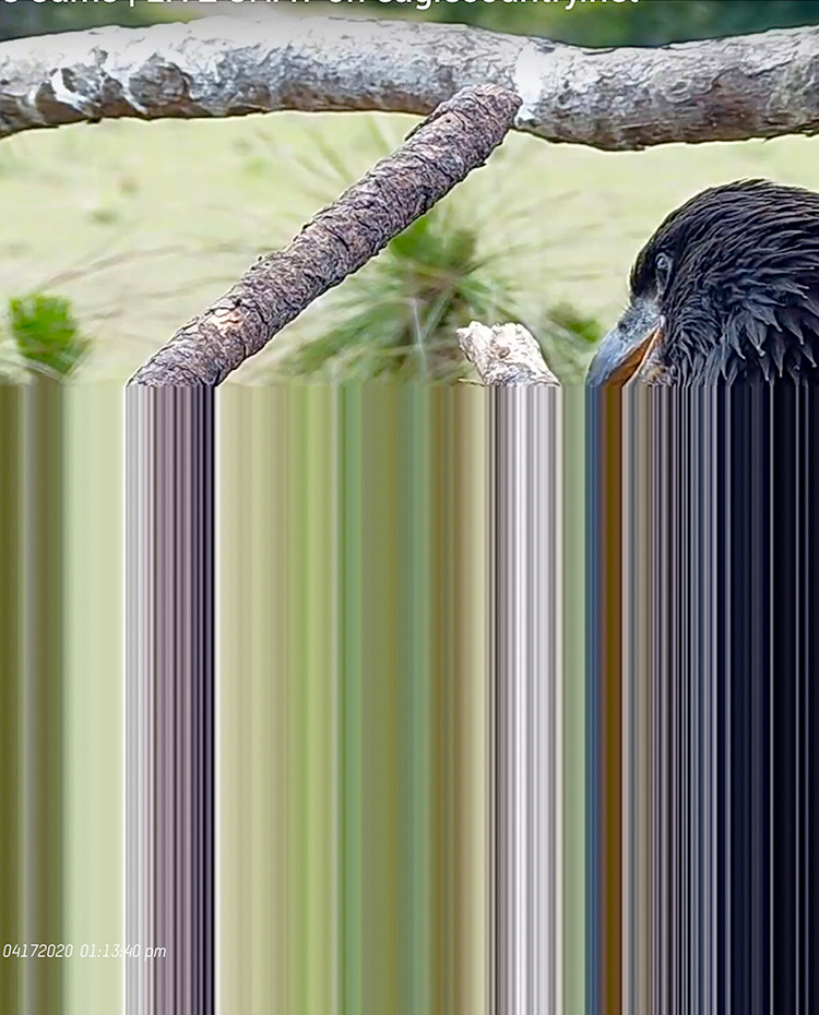 04172020 01:13:40 PM, 2020